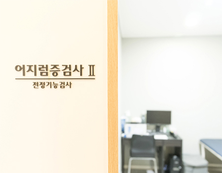 전정 기능 중심 검사